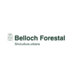 09_Belloch_Forestal