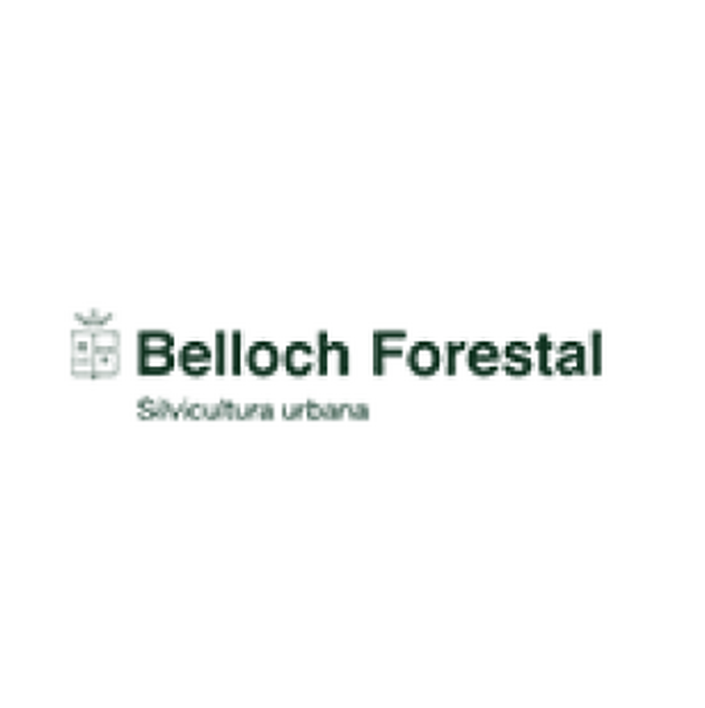 09_Belloch_Forestal